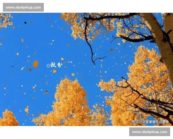 秋分时节的自然变换与人文习俗探析